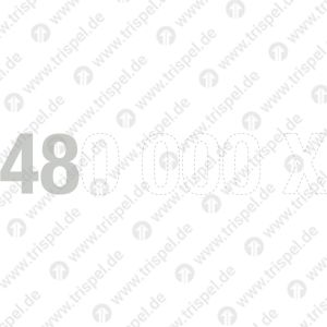 43303