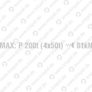 Bremsgewicht MAX: P 200 (4x50t) federsp. 81kN
