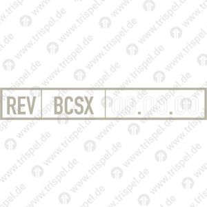 Revisionsraster REV, BCS X, mit Datumspunkten