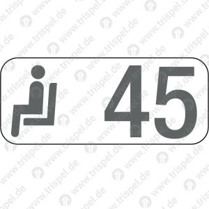 Sitzplatzreservierungsanzeige Gangplatz 45, BR 408