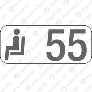 Sitzplatzreservierungsanzeige Gangplatz 55, BR 408