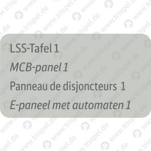 LSS-Tafel 14-sprachig D, E, F, NL