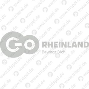 LogoGO Rheinlandfür VT 644 und euregionbahn