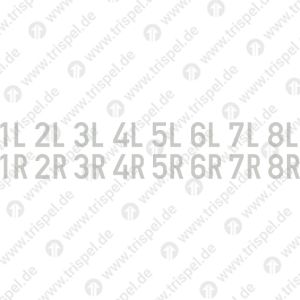 Achslagerzahlen 1L 2L 3L 4L 5L 6L 7L 8L1R 2R 3R 4R 5R 6R 7R 8R