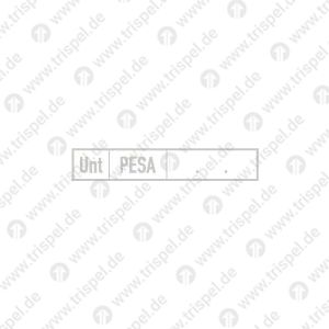 Untersuchungsraster mit Eindruck Unt PESA und Datumspunkten, Eindruck Datum variabelz._B.: 07.03.19