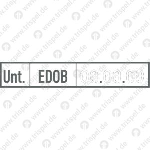 Untersuchungsraster EDOB mit Datumspunkten ohne Jahreszahl