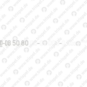 Wagennummern (nach Angabe), außen je 2 Stück mit Unterstreichung, Gattungsbezeichnung und Bauartnummer, variabelD-DB 50 80 XX-XX XXX-X XXxxx000.0z.B:D-DB 50 80 26-81 020-2 DBpza 780.0