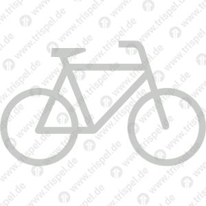 Fahrrad rechtsweisendTeil 2 (Lackfläche)