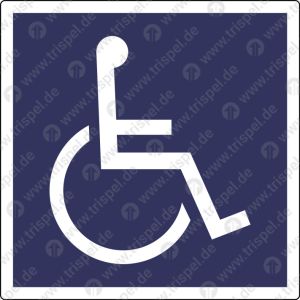 Mehrzweckbereich (Einstiegsbereich für Personen im Rollstuhl)